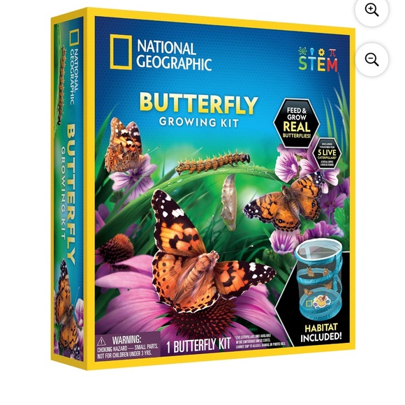 National Geographic Butterfly Growing Kit - Picture 1 of 9
